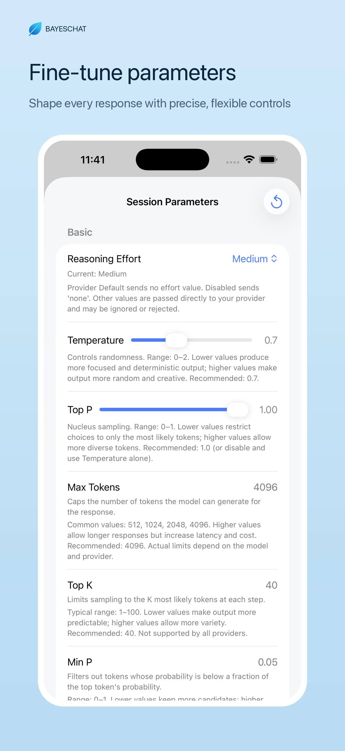BayesChat fine-tune session parameters